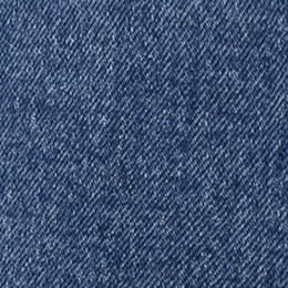 SHORTS DENIM FIT REGULAR